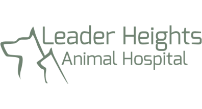 Leader Heights Animal Hospital-HeaderLogo
